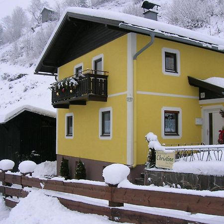 Ferienhaus Christine Taxenbach Exterior photo